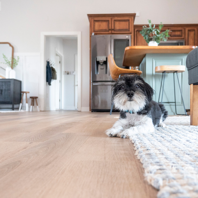 Clearing the Air: The Connection Between Allergies and Your Floors