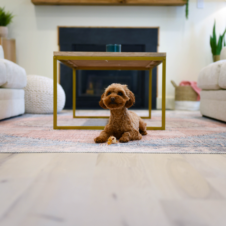 Deciding Between Lato and Yuzen for a Stunning Home Renovation | Casey's Story