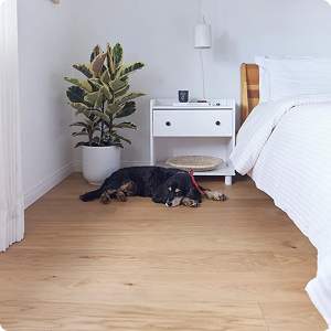 Silvan Resilient Hardwood