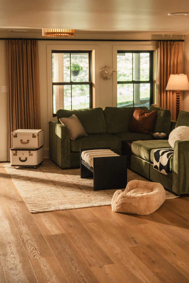 Which Collection is Right for You?